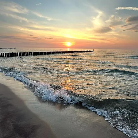 Bella Blue コウォブジェク