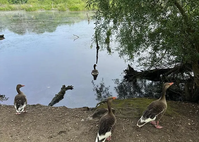 アパート Bella Blue *