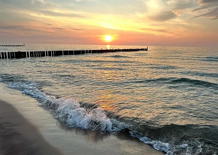 Bella Blue コウォブジェク