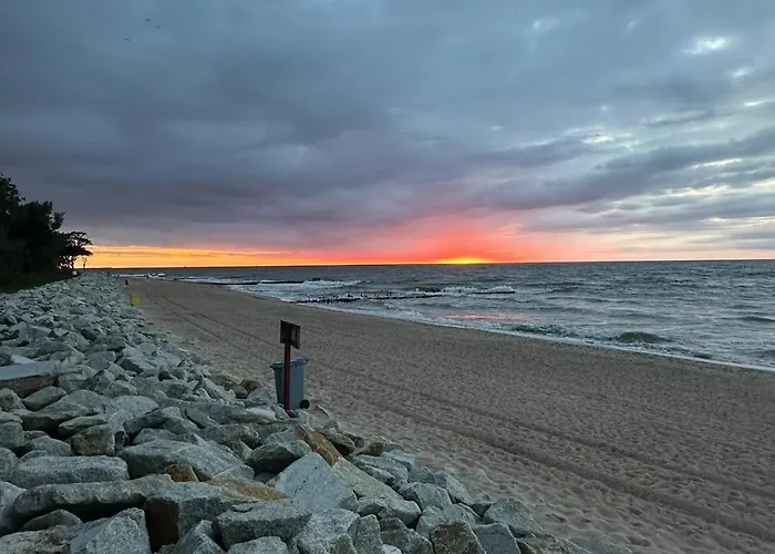 Bella Blue * コウォブジェク