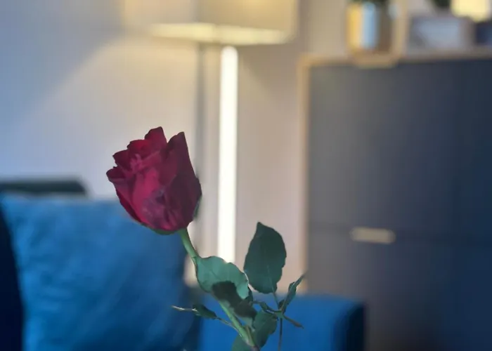 Bella Blue コウォブジェク